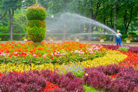 Moscow. Russia. August 01 2021. Hose watering flower bed in the park.のeditorial素材