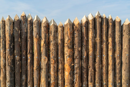 Wooden palisade made of logs. Log wooden fence. Sharp stakes in the ground.の写真素材