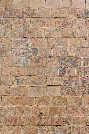 Beige wall of the building. Designer building background.の写真素材