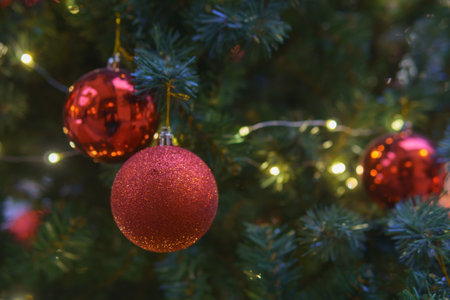 Christmas decoration - a red shiny ball hanging on a branch of a Christmas tree.の写真素材