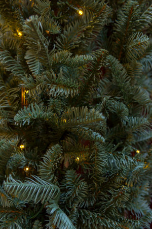 Yellow lights of a festive electric garland shine among the green branches of a Christmas tree, creating a warm and cheerful atmosphere. The sparkling lights add a magical touch to the holiday decoration.の写真素材