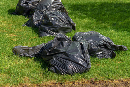 A row of black plastic bags are on the grass. The bags are on the ground and are not tied down.の写真素材