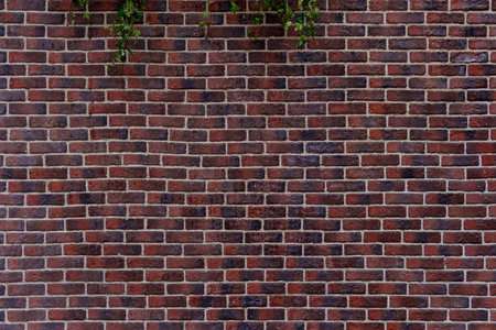 A brick wall with a green plant growing out of it. The wall is brown and has a few green leaves on it.の写真素材