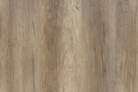 Old vintage wooden board. Natural wood background.の写真素材