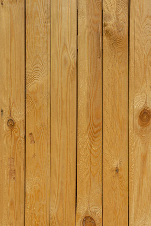 Rough-cut wooden boards. Barrier fence made of unplaned boards.の写真素材