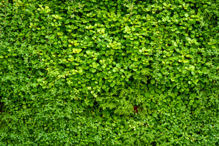 A dense array of living plants creates a vivid green surface with diverse foliage. The scene conveys...