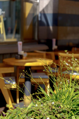 Outdoor cafe terrace with tables, chairs and flowers in summer