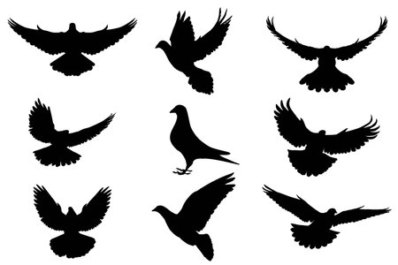 Pigeon silhouette, flying dove silhouette vectorのイラスト素材