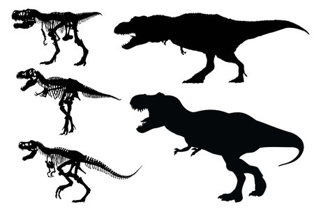 Silhouette of Tyrannosaurus rex and skeleton vectorのイラスト素材