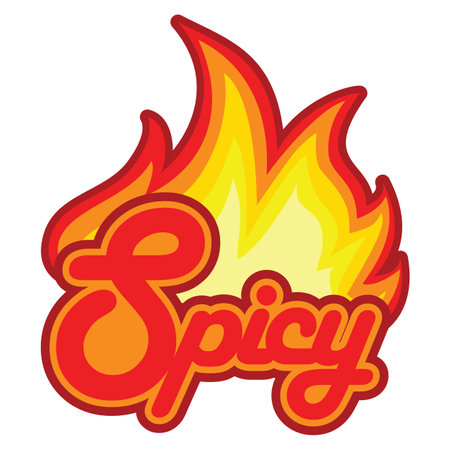 Vector concept of a spicy design with fire as a sign of character for heatのイラスト素材