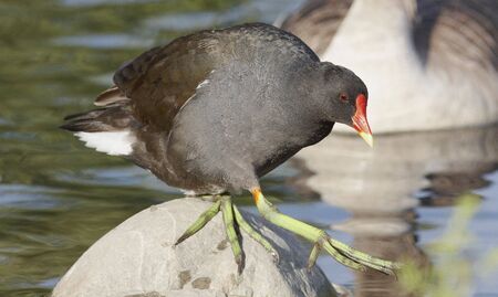 Walking の写真素材