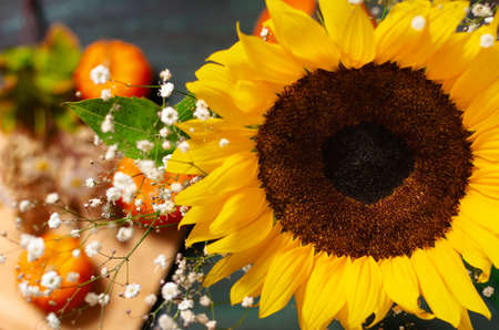 Beautiful sunflower in the foreground.の写真素材