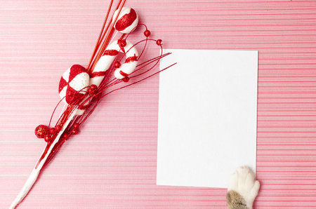 Blank christmas or gift card held by kitten on textured pink backgroundの写真素材