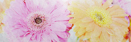 Banner. Illustration. Cement wall with aged flowers. Aged flowers on concrete texture.の写真素材