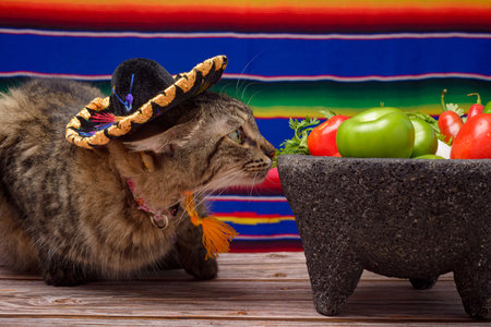 Molcajete with vegetables on wooden table. Ingredients for a hot sauce. Cat with mariachi hat on the table.の写真素材