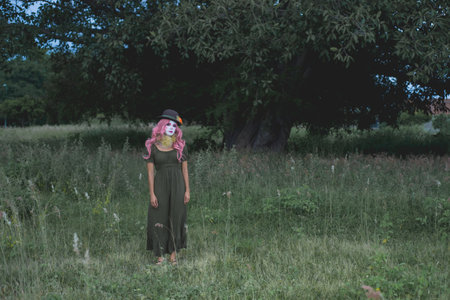 Young woman made up as a sad clown in a lonely field. Concept of loneliness and sadness. Halloween makeup.の写真素材
