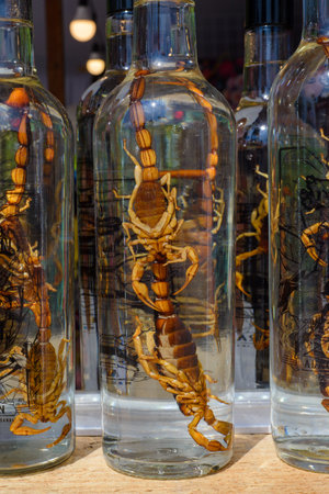 Bottle of mezcal with scorpions. Typical Mexican drink.の写真素材