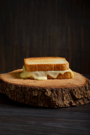 Grilled cheese sandwich on a rustic wooden plate on wooden table. Copy space.