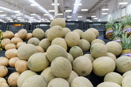 Close-up view of a large pile of cantaloupe stacked in a grocery store display.の写真素材