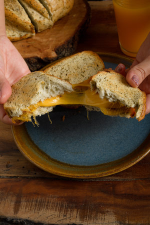 Female hands cutting a grilled cheese sandwich. Copy space.
