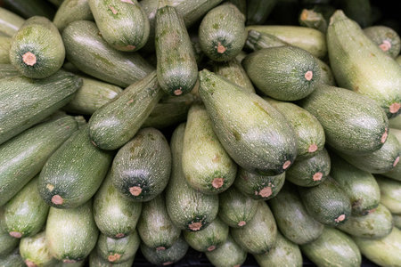Close-up view of a large pile of fresh, green zucchini, showing their textured skin and uniform shape.の写真素材