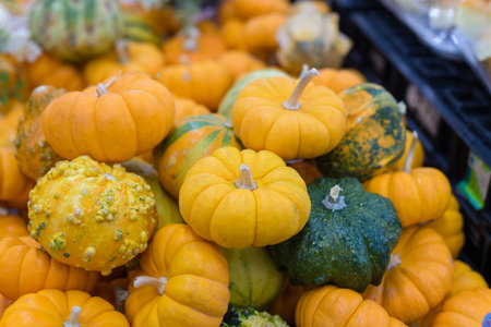 A vibrant pile of mini pumpkins in various shades of orange and green. Autumn background.の写真素材