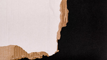 A piece of torn cardboard on dark background.の写真素材