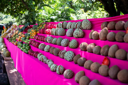 A brightly colored fruit stand displays a diverse selection of tropical fruits, meticulously...