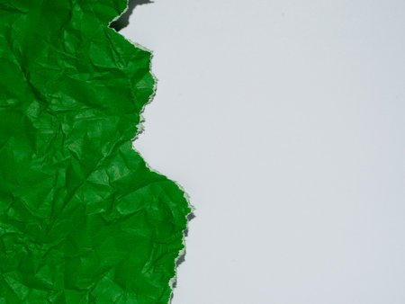 Crumpled Green Paper with Torn Edge on White Surface Textureの写真素材