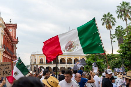 Colima, Colima. Mexico. November 15, 2025. March organized by Generation Z. People protesting against the government in Colima.のeditorial素材