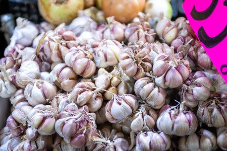 A large pile of fresh organic garlic bulbs on a stall at a farmers market.の写真素材