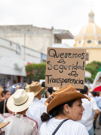 Colima, Colima. Mexico. November 15, 2025. March organized by Generation Z. People protesting against the government in Colima.のeditorial素材
