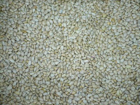 Pinto beans, close up. Textured background.