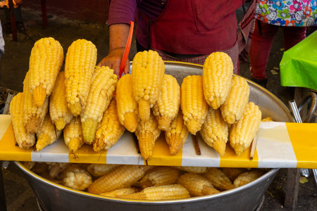 Close-up of freshly boiled corn on the cob displayed at a street food vendor's stall.の写真素材