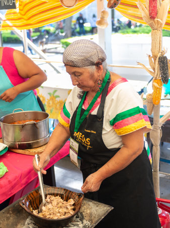 Cuernavaca, Morelos. Mexico. November 7, 2025. X World Forum on Mexican Gastronomy. Mexican Woman Selling Traditional Food at Local Marketのeditorial素材
