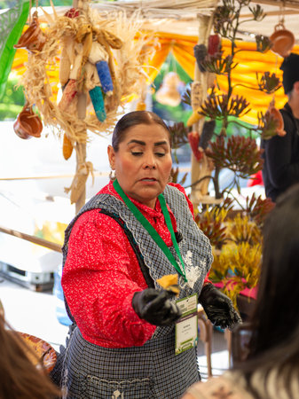Cuernavaca, Morelos. Mexico. November 7, 2025. X World Forum on Mexican Gastronomy. Mexican Woman Selling Traditional Food at Local Marketのeditorial素材