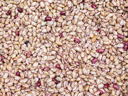 Close Up of Heap Pinto Bean. Background, texture.の写真素材