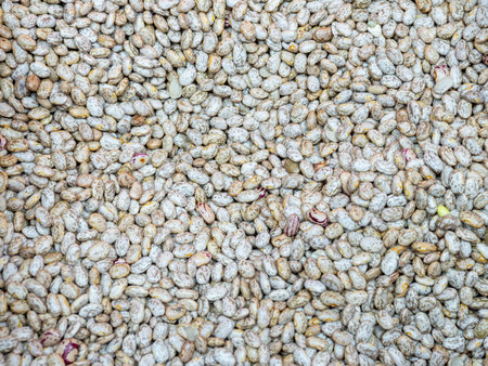 Close Up of Heap Pinto Bean. Texture.の写真素材
