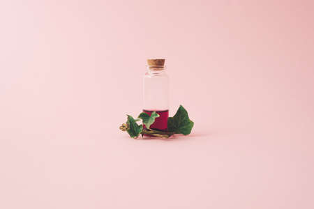 Love potion with ivy vines. Magic poson in bottle. Valentines day concept.の写真素材