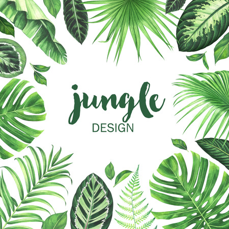 Watercolor tropical frame. Hand drawn jungle background.の写真素材