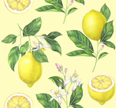 Lemon pattern on yellow background. Hand drawn watercolor illustration.の写真素材