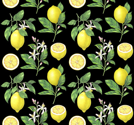 Lemon pattern on black background. Hand drawn watercolor illustration.の写真素材
