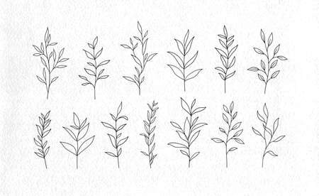 Set of vector tree branches and leaves. Hand drawn floral elements. One line drawing.のイラスト素材