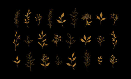 Set of vector plants and herbs. Hand drawn floral elements.のイラスト素材