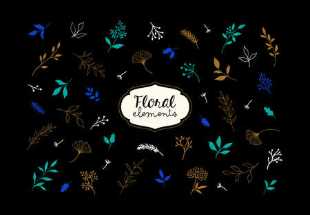 Set of vector plants and herbs. Hand drawn floral elements.のイラスト素材