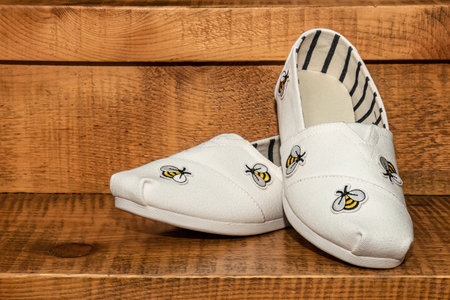 The Brides White Canvas Shoes with Bumblebeesの写真素材