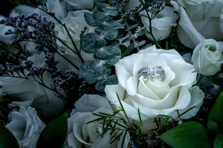 The bride's diamond-crusted wedding ring sits upon the groom's silver-etched wedding band with a cream-colored rose.の写真素材