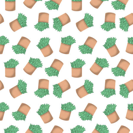 Succulents seamless pattern, nature, natural,の写真素材