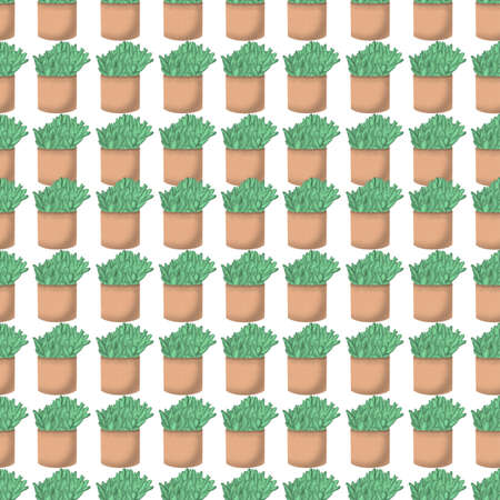 Succulents in the row as a seamless pattern, nature, natural,の写真素材