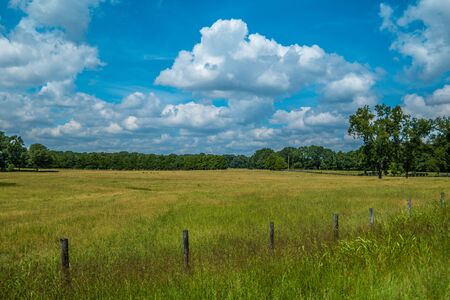 A rural farmland setting with an old fence in the foreground and tall grasses in the field with white fluffy clouds overhead and trees in the background on a bright sunny afternoon in late summerの写真素材